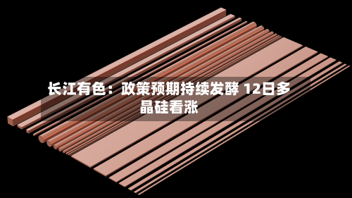 长江有色:政策预期持续发酵 12日多晶硅看涨-第2张图片