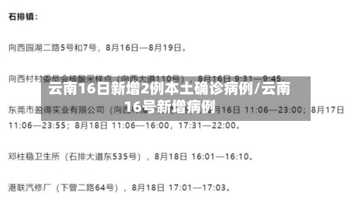 云南16日新增2例本土确诊病例/云南16号新增病例-第3张图片
