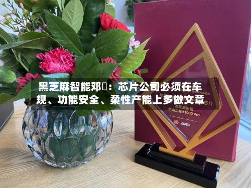 黑芝麻智能邓堃：芯片公司必须在车规、功能安全、柔性产能上多做文章-第2张图片