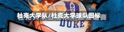 杜克大学队/杜克大学球队图标-第2张图片