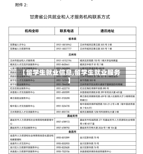 【留学生就业信息,留学生就业服务】-第2张图片