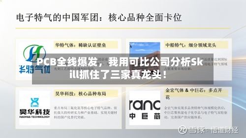 PCB全线爆发，我用可比公司分析Skill抓住了三家真龙头！-第2张图片