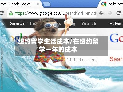 纽约留学生活成本/在纽约留学一年的成本