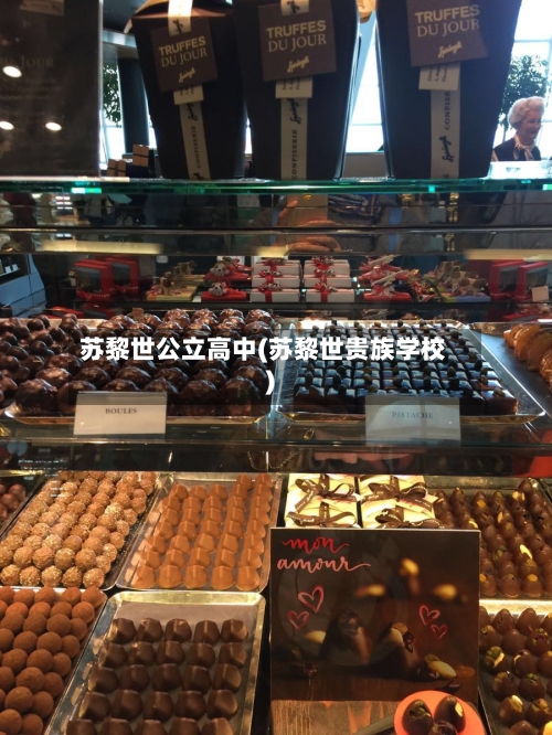 苏黎世公立高中(苏黎世贵族学校)-第2张图片