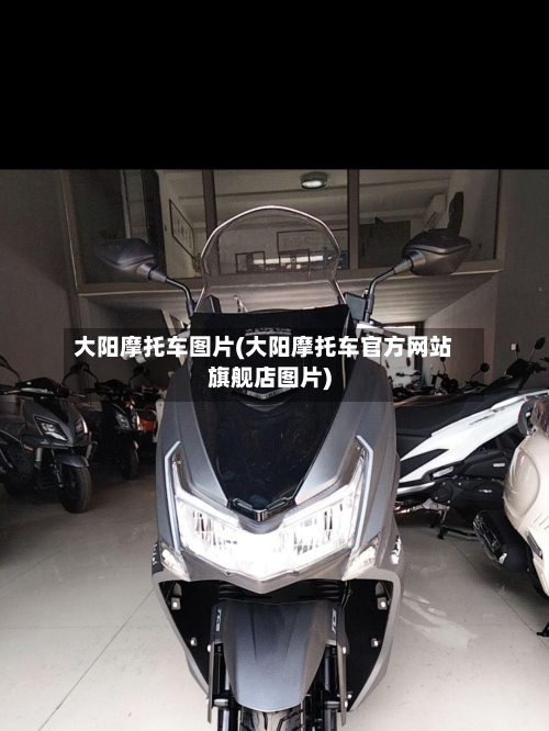 大阳摩托车图片(大阳摩托车官方网站旗舰店图片)-第2张图片