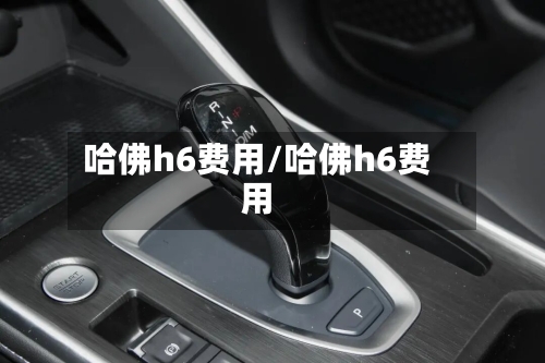 哈佛h6费用/哈佛h6费用-第2张图片