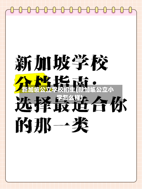 新加坡公立学校招生(新加坡公立小学怎么样)-第2张图片