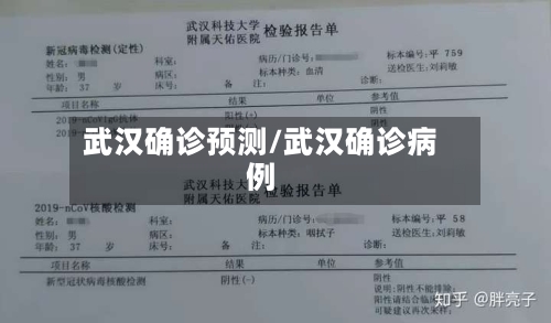 武汉确诊预测/武汉确诊病例-第2张图片
