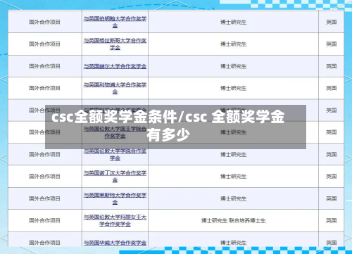 csc全额奖学金条件/csc 全额奖学金有多少-第3张图片