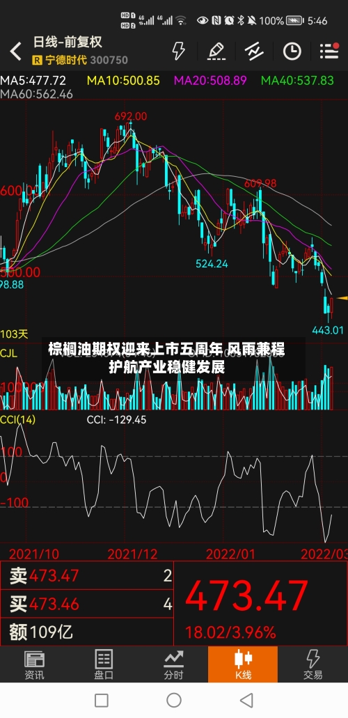 棕榈油期权迎来上市五周年 风雨兼程护航产业稳健发展-第1张图片