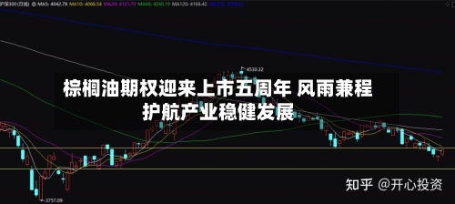 棕榈油期权迎来上市五周年 风雨兼程护航产业稳健发展-第3张图片