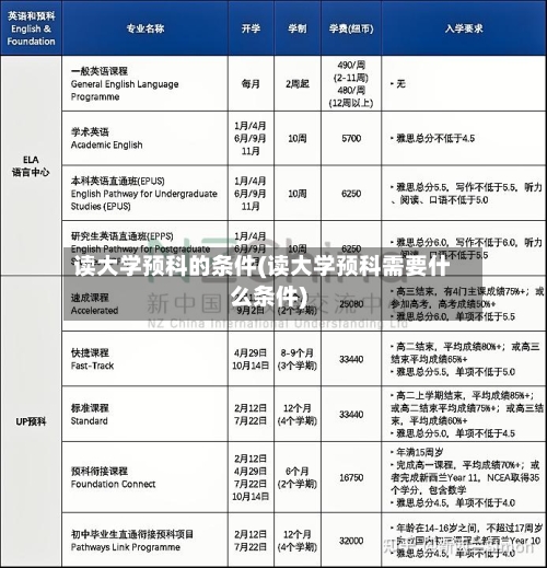 读大学预科的条件(读大学预科需要什么条件)-第3张图片