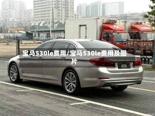 宝马530le费用/宝马530le费用及图片-第3张图片