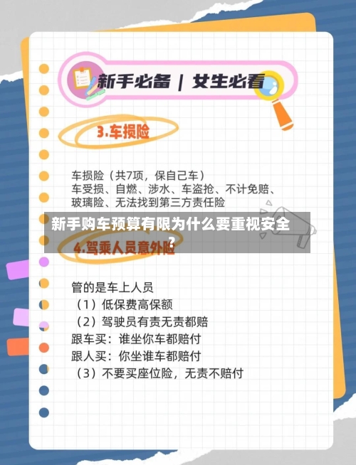 新手购车预算有限为什么要重视安全?-第2张图片