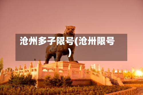 沧州多子限号(沧卅限号)
