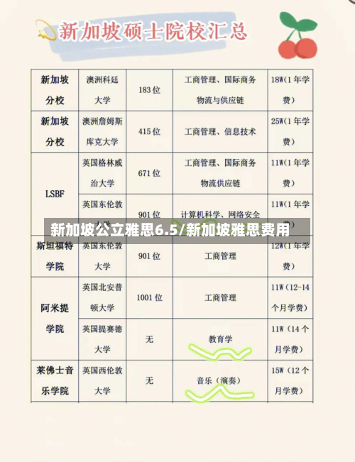 新加坡公立雅思6.5/新加坡雅思费用-第2张图片