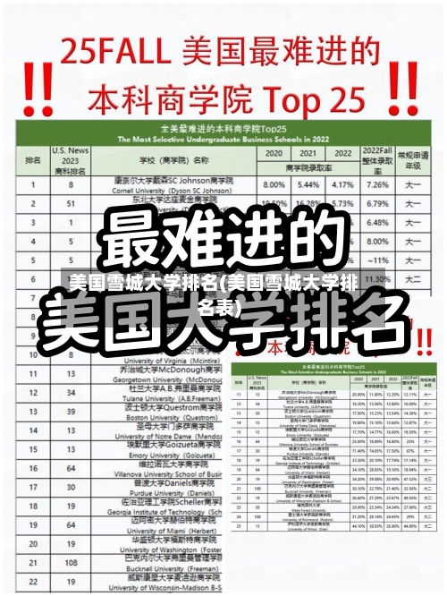 美国雪城大学排名(美国雪城大学排名表)