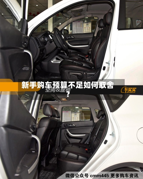 新手购车预算不足如何取舍?-第2张图片