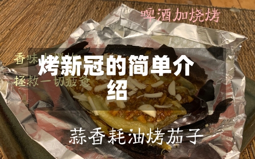 烤新冠的简单介绍-第3张图片