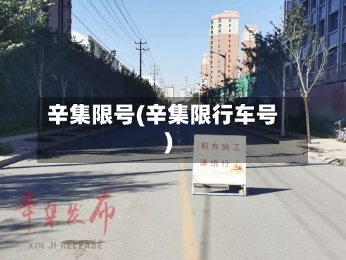 辛集限号(辛集限行车号)