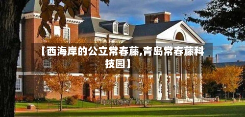【西海岸的公立常春藤,青岛常春藤科技园】