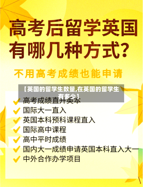 【英国的留学生数量,在英国的留学生有多少】-第3张图片
