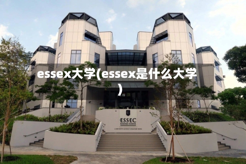essex大学(essex是什么大学)-第3张图片