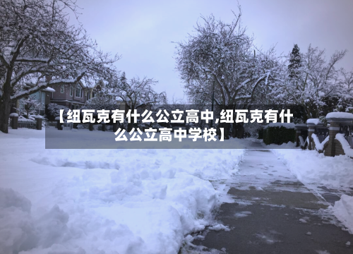 【纽瓦克有什么公立高中,纽瓦克有什么公立高中学校】-第3张图片