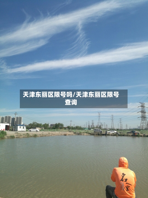 天津东丽区限号吗/天津东丽区限号查询