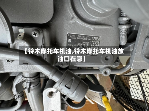 【铃木摩托车机油,铃木摩托车机油放油口在哪】-第2张图片