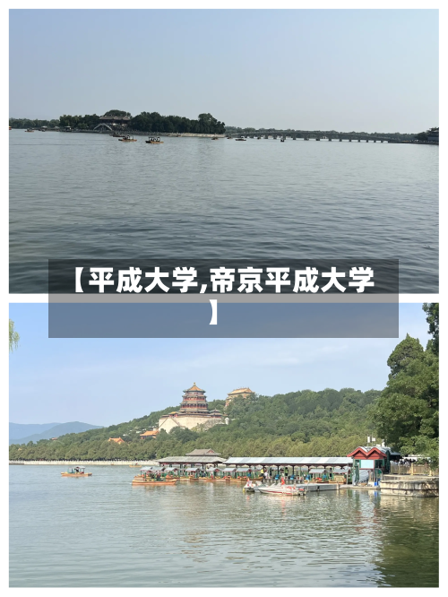 【平成大学,帝京平成大学】