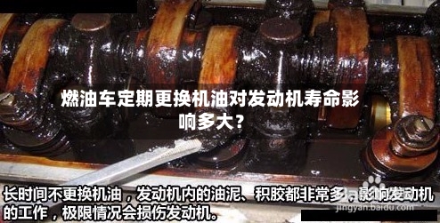燃油车定期更换机油对发动机寿命影响多大？-第2张图片