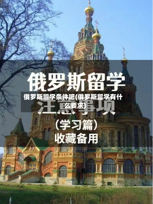 俄罗斯留学条件吧(俄罗斯留学有什么要求)-第2张图片