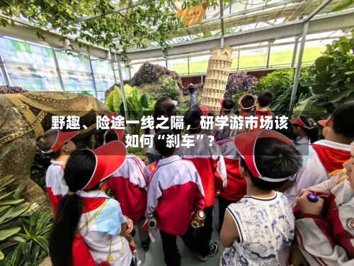 野趣、险途一线之隔	，研学游市场该如何“刹车”？-第2张图片