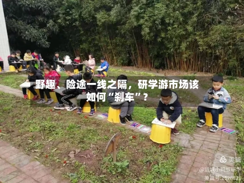 野趣、险途一线之隔，研学游市场该如何“刹车”？