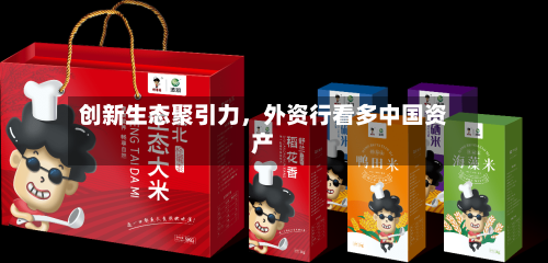 创新生态聚引力，外资行看多中国资产-第3张图片