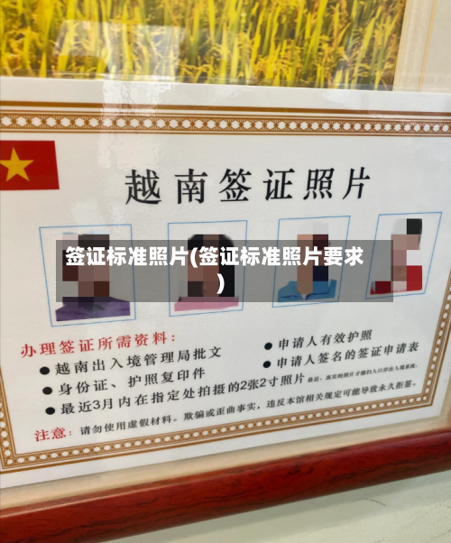 签证标准照片(签证标准照片要求)