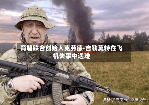 育碧联合创始人克劳德·吉勒莫特在飞机失事中遇难-第2张图片