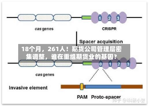 18个月	，261人！期货公司管理层密集调整，谁在重组期货业的基因？-第1张图片