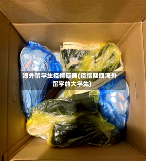 海外留学生疫情应届(疫情期间海外留学的大学生)-第2张图片