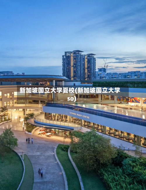 新加坡国立大学夏校(新加坡国立大学so)-第2张图片