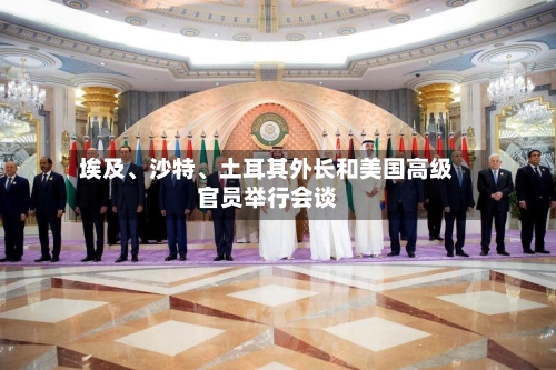 埃及、沙特、土耳其外长和美国高级官员举行会谈-第1张图片