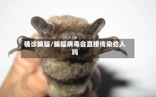 确诊蝙蝠/蝙蝠病毒会直接传染给人吗