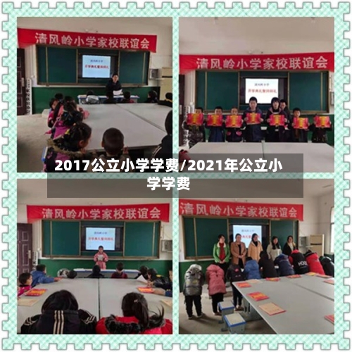 2017公立小学学费/2021年公立小学学费