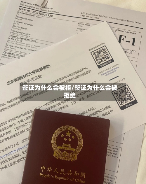 签证为什么会被拒/签证为什么会被拒绝-第2张图片
