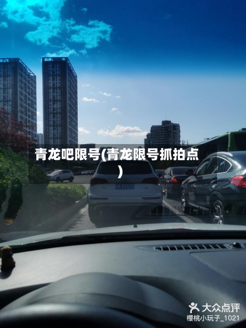 青龙吧限号(青龙限号抓拍点)
