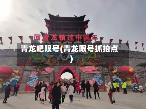 青龙吧限号(青龙限号抓拍点)-第2张图片