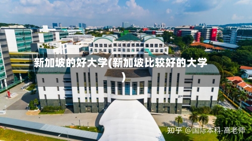 新加坡的好大学(新加坡比较好的大学)
