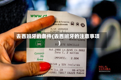 去西班牙的条件(去西班牙的注意事项)-第3张图片