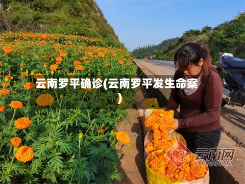 云南罗平确诊(云南罗平发生命案)-第2张图片